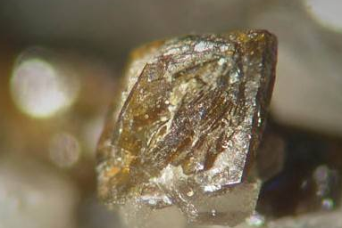 中國對澳大利亞銅礦石的進口量降至零